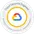Cloud Security Engineer